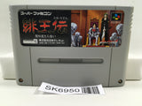 Hiouden Mamonotachi Tono Chikai Nintendo Super Famicom SNES Japan - SK6950