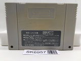 Street Fighter II 2 Nintendo Super Famicom SNES Japan - SK6957