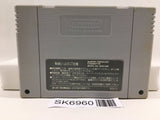 World Heroes Nintendo Super Famicom SNES Japan - SK6960