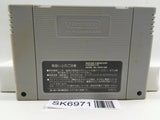 Shin Megami Tensei Nintendo Super Famicom SNES Japan - SK6971