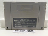 Pilotwings Nintendo Super Famicom SNES Japan - SK6974