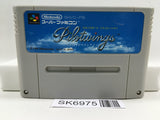 Pilotwings Nintendo Super Famicom SNES Japan - SK6975