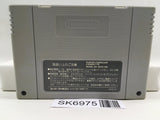 Pilotwings Nintendo Super Famicom SNES Japan - SK6975