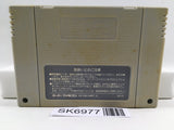 Super Tetris 2 + Bombliss Limited Nintendo Super Famicom SNES Japan - SK6977