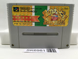 Kirby Super Deluxe Star Kirby's Fun Pak Super Famicom SNES Japan - SK6981
