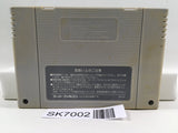 Super Mario World Nintendo Super Famicom SNES Japan - SK7002