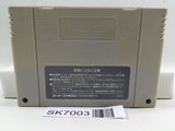 Super Mario World Nintendo Super Famicom SNES Japan - SK7003