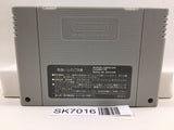 Super Mario World 2 Yoshi's Island Nintendo Super Famicom SNES Japan - SK7016