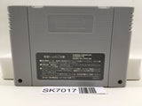Super Donkey Kong Country Nintendo Super Famicom SNES Japan - SK7017