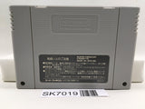 Mickey no Magical Adventure Nintendo Super Famicom SNES Japan - SK7019