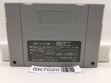 Super Donkey Kong Country Nintendo Super Famicom SNES Japan - SK7020