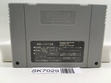 Magical Drop Nintendo Super Famicom SNES Japan - SK7029