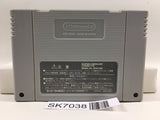 Super Donkey Kong Country 3 Nintendo Super Famicom SNES Japan - SK7038
