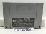 JoJo's Bizzare Adventure JoJo GioGio Nintendo Super Famicom SNES Japan - SK7043