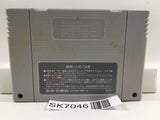The Legend Of Zelda A Link to the Past Super Famicom SNES Japan - SK7046