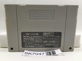 The Legend Of Zelda A Link to the Past Super Famicom SNES Japan - SK7047