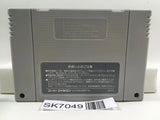 Raiden Densetsu Nintendo Super Famicom SNES Japan - SK7049