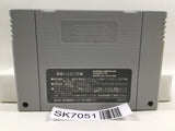 Chou Makaimura Super Ghouls 'n Ghosts Nintendo Super Famicom SNES Japan - SK7051