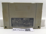 Dragon Quest V 5 Nintendo Super Famicom SNES Japan - SK7059