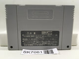 Dragon Quest VI 6 Nintendo Super Famicom SNES Japan - SK7061