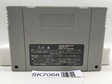 Dragon Quest VI 6 Nintendo Super Famicom SNES Japan - SK7068
