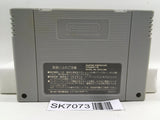 Final Fantasy VI 6 Nintendo Super Famicom SNES Japan - SK7073