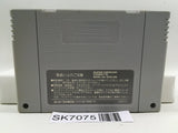 Final Fantasy VI 6 Nintendo Super Famicom SNES Japan - SK7075