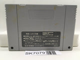 Romancing SaGa 2 Nintendo Super Famicom SNES Japan - SK7079