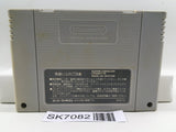 Seiken Densetsu 2 Secret of Mana Nintendo Super Famicom SNES Japan - SK7082