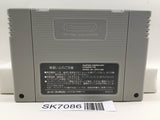 Bahamut Lagoon Nintendo Super Famicom SNES Japan - SK7086