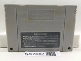 Street Fighter II 2 Nintendo Super Famicom SNES Japan - SK7087