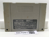 Dragon Ball Z Super Saiya Densetsu Nintendo Super Famicom SNES Japan - SK7091