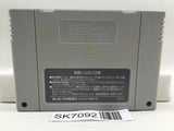 Dragon Ball Z Super Saiya Densetsu Nintendo Super Famicom SNES Japan - SK7092