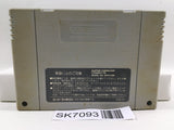 Dragon Ball Z Super Butouden Nintendo Super Famicom SNES Japan - SK7093