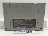 Dragon Ball Z Super Butouden Nintendo Super Famicom SNES Japan - SK7095