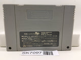 Dragon Ball Z Super Butouden 2 Nintendo Super Famicom SNES Japan - SK7097
