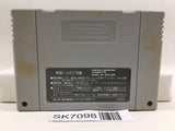 Dragon Ball Z Super Butouden 2 Nintendo Super Famicom SNES Japan - SK7098