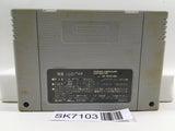 Aretha Nintendo Super Famicom SNES Japan - SK7103