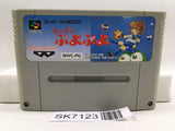 Super Puyo Puyo Nintendo Super Famicom SNES Japan - SK7123