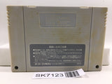 Super Puyo Puyo Nintendo Super Famicom SNES Japan - SK7123