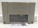 Super Puyo Puyo Nintendo Super Famicom SNES Japan - SK7124