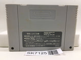 Super Puyo Puyo 2 Remix Tsu Nintendo Super Famicom SNES Japan - SK7125