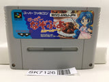 Super Nazo Puyo Rulue no Roux Puyo Puyo Super Famicom SNES Japan - SK7126
