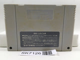 Super Nazo Puyo Rulue no Roux Puyo Puyo Super Famicom SNES Japan - SK7126