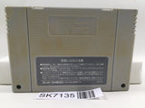 Mystic Ark Nintendo Super Famicom SNES Japan - SK7135