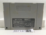 Magic Sword Nintendo Super Famicom SNES Japan - SK7137