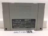 Tales of Phantasia Nintendo Super Famicom SNES Japan - SK7139