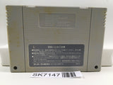 ActRaiser Nintendo Super Famicom SNES Japan - SK7147