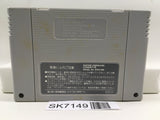 Chou Makaimura Super Ghouls 'n Ghosts Nintendo Super Famicom SNES Japan - SK7149