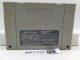 Super Donkey Kong Country Nintendo Super Famicom SNES Japan - SK7157